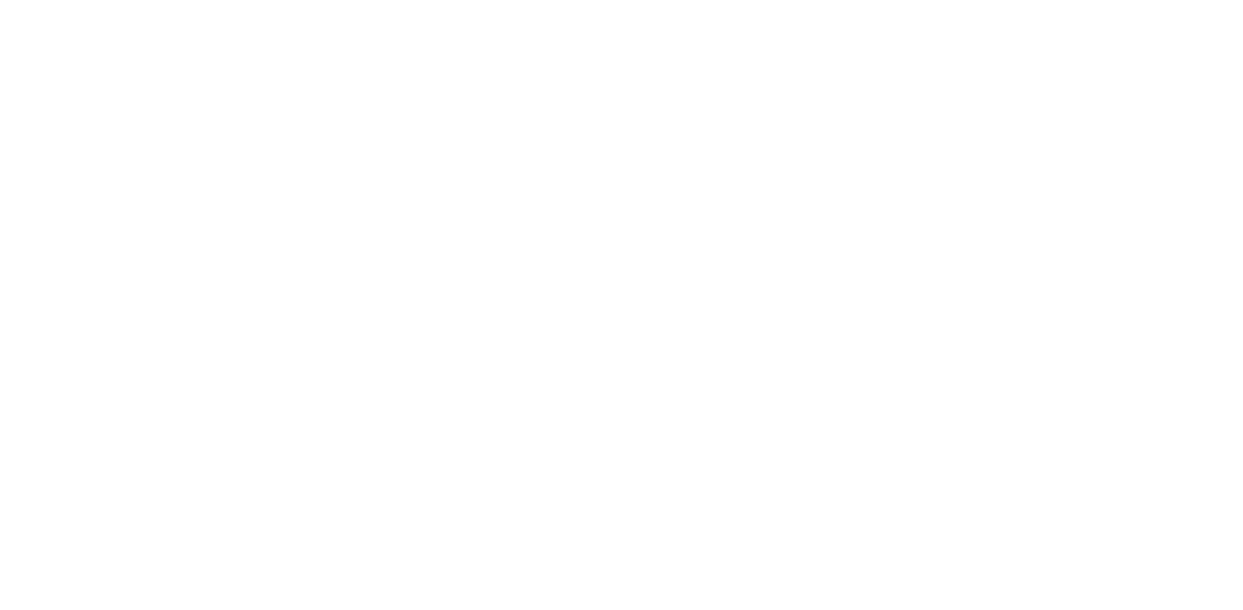 Holzman Leadership
